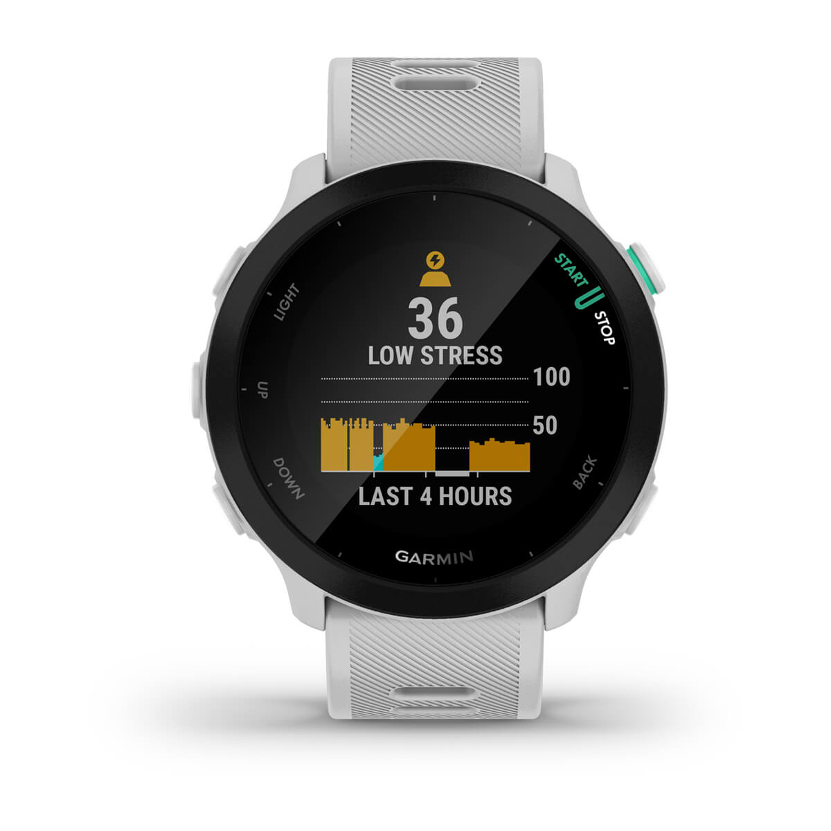 Garmin Forerunner 55 GPS Running Smartwatch