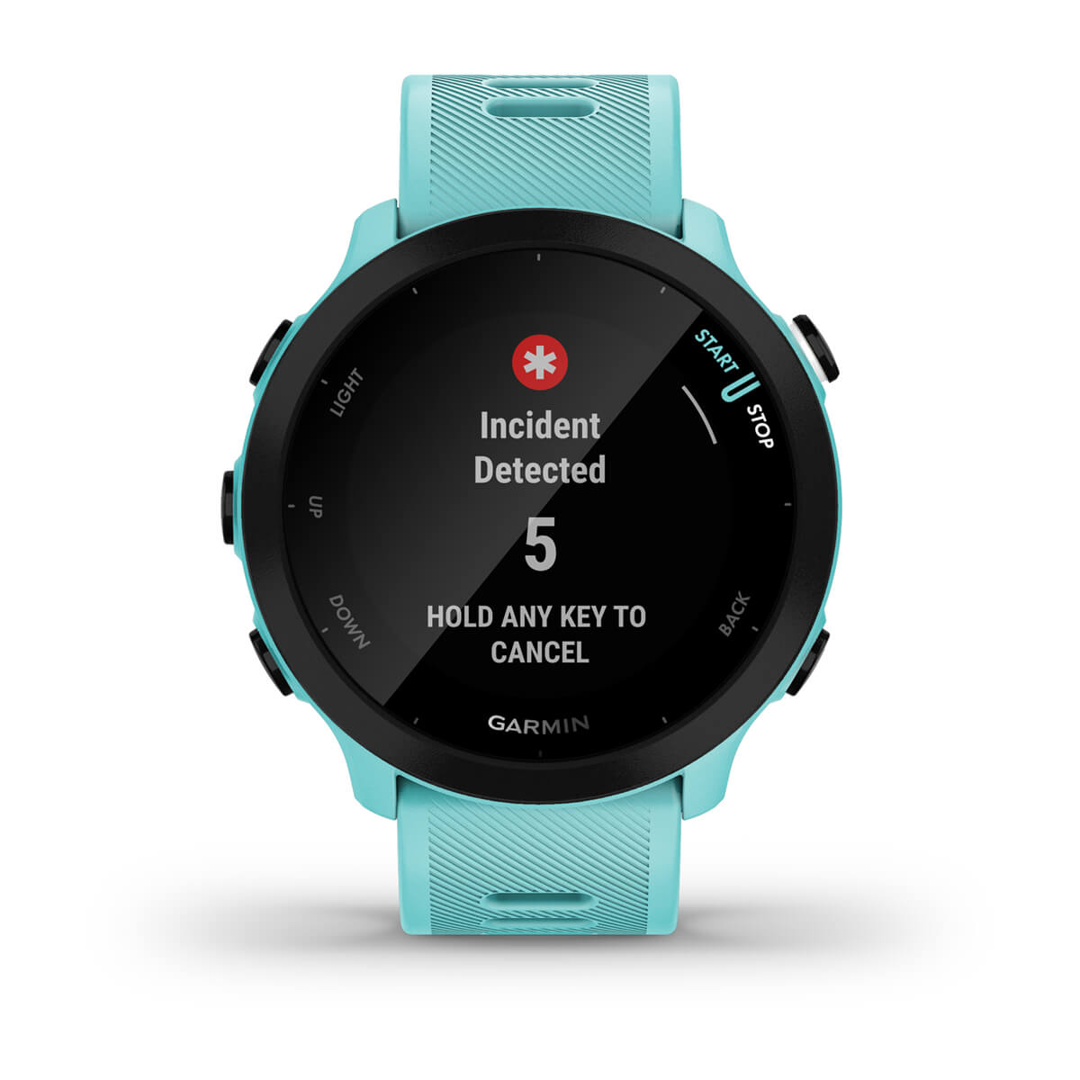 Garmin Forerunner 55 GPS Running Smartwatch