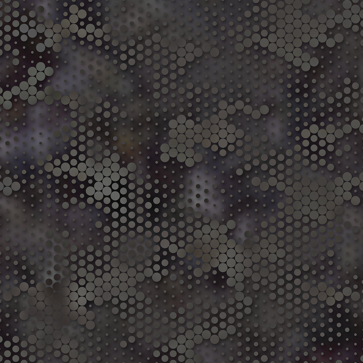 SEAC SNAKE JACKET+PANT MAN 5MM