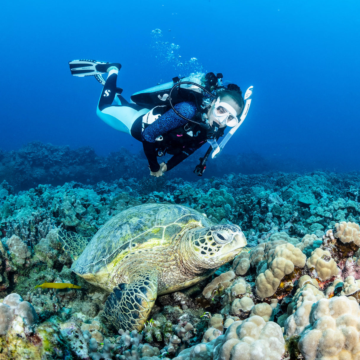 ScubaPro Zoom Lite Diving Mask