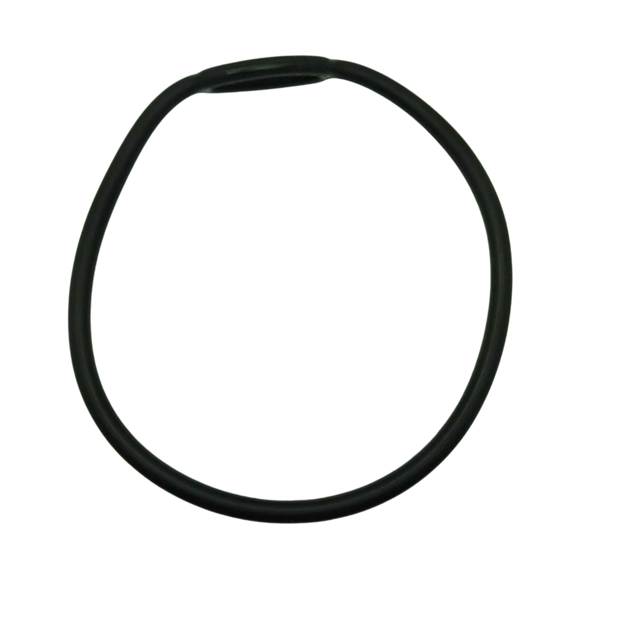 DiveCatalog.com Regulator Necklace