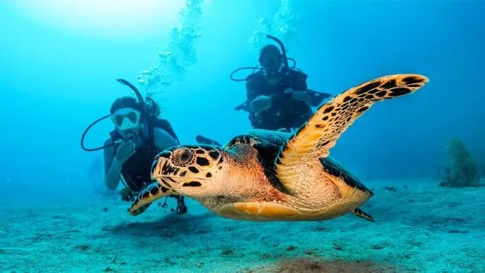 PADI Open Water Diver eLearning