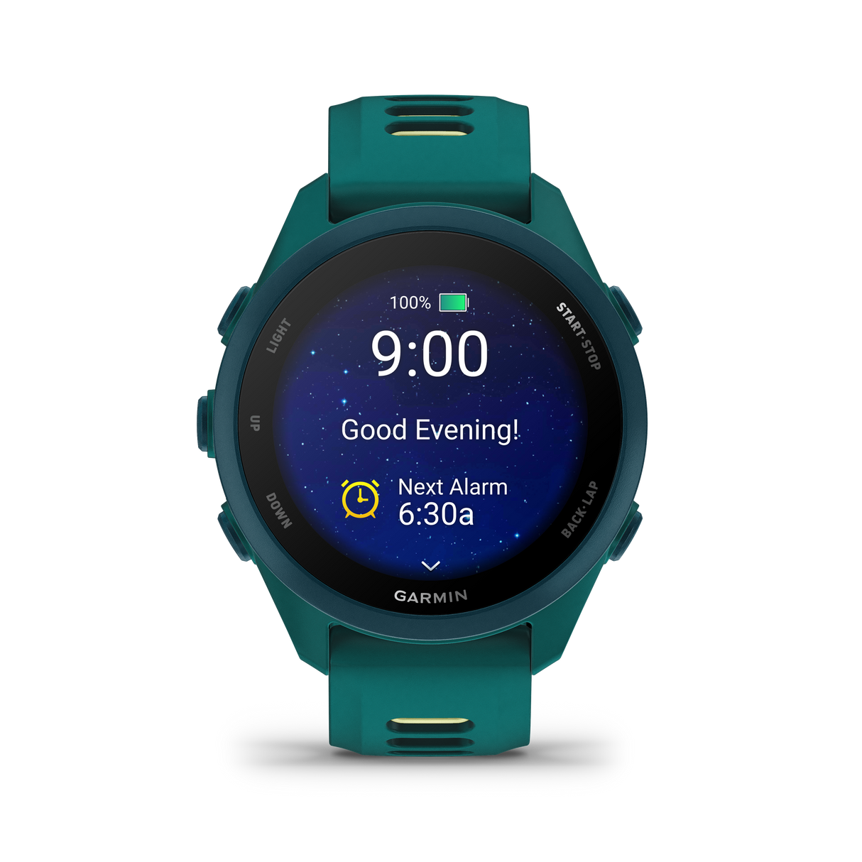 Garmin Forerunner Sports Smartwatch