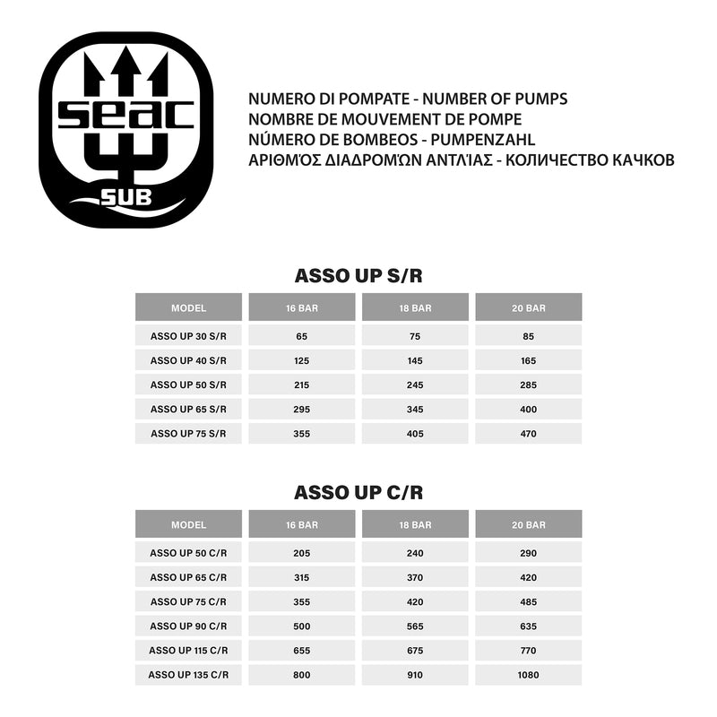 https://b2b.seacusa.com/app/media/uploads/image_repository/7530/Size-chart-pompate-ASSO_800.jpg