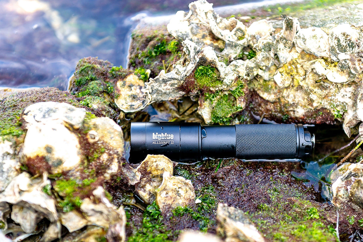 BigBlue 1300 Lumen Narrow Beam Dive Light with Tail switch-
