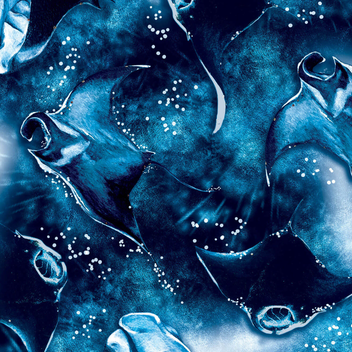 Spacefish Army Manta Mayhem Dive Socks