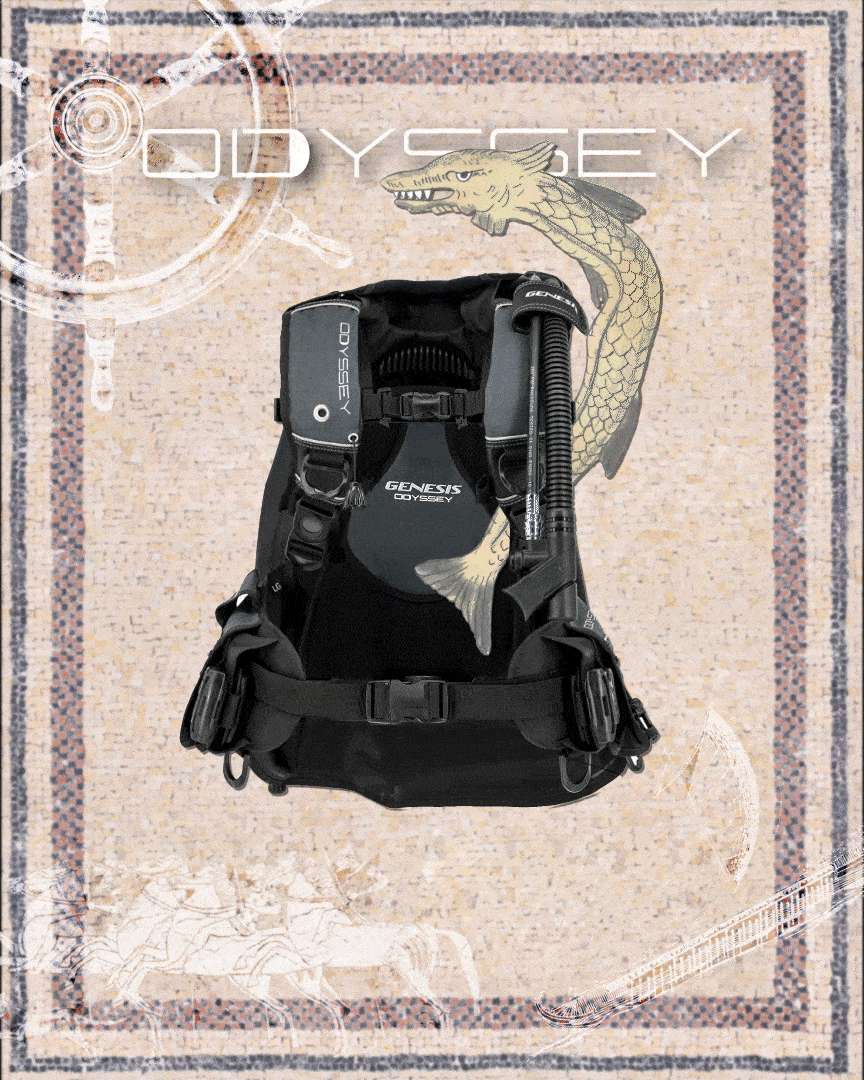 Genesis Odyssey Weight Integrated Back Inflation aircell BCD-