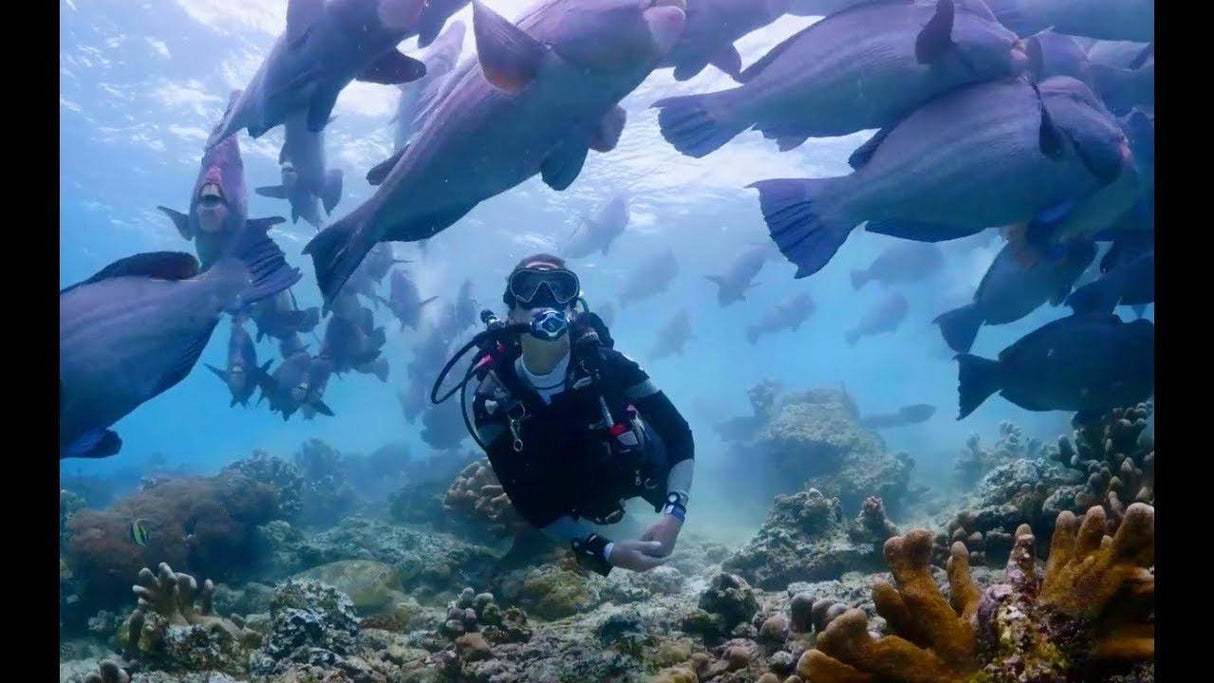 Scubapro MK25 EVO/S620Ti White