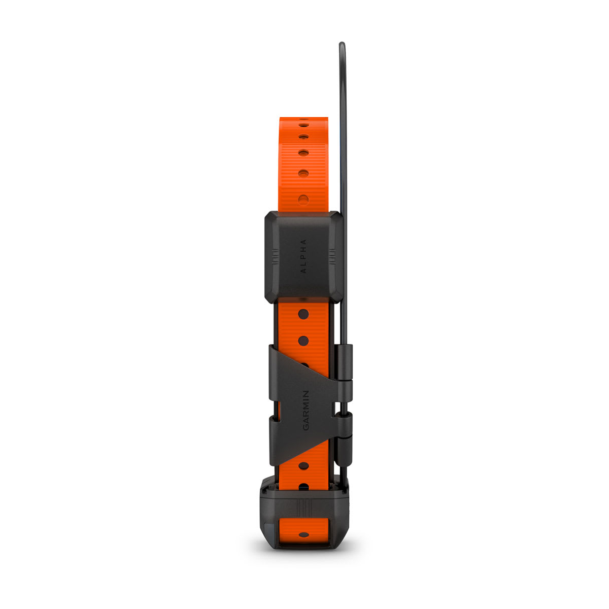 Garmin Alpha TT 25 and T 20 Dog Tracking and Training Collar – Alpha TT 25