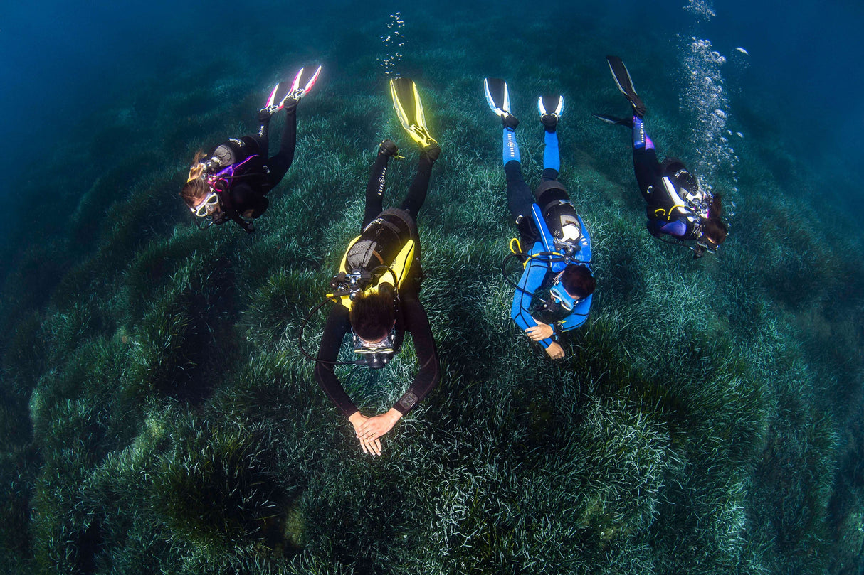 Aqualung Phazer Open Heel Dive Fins-