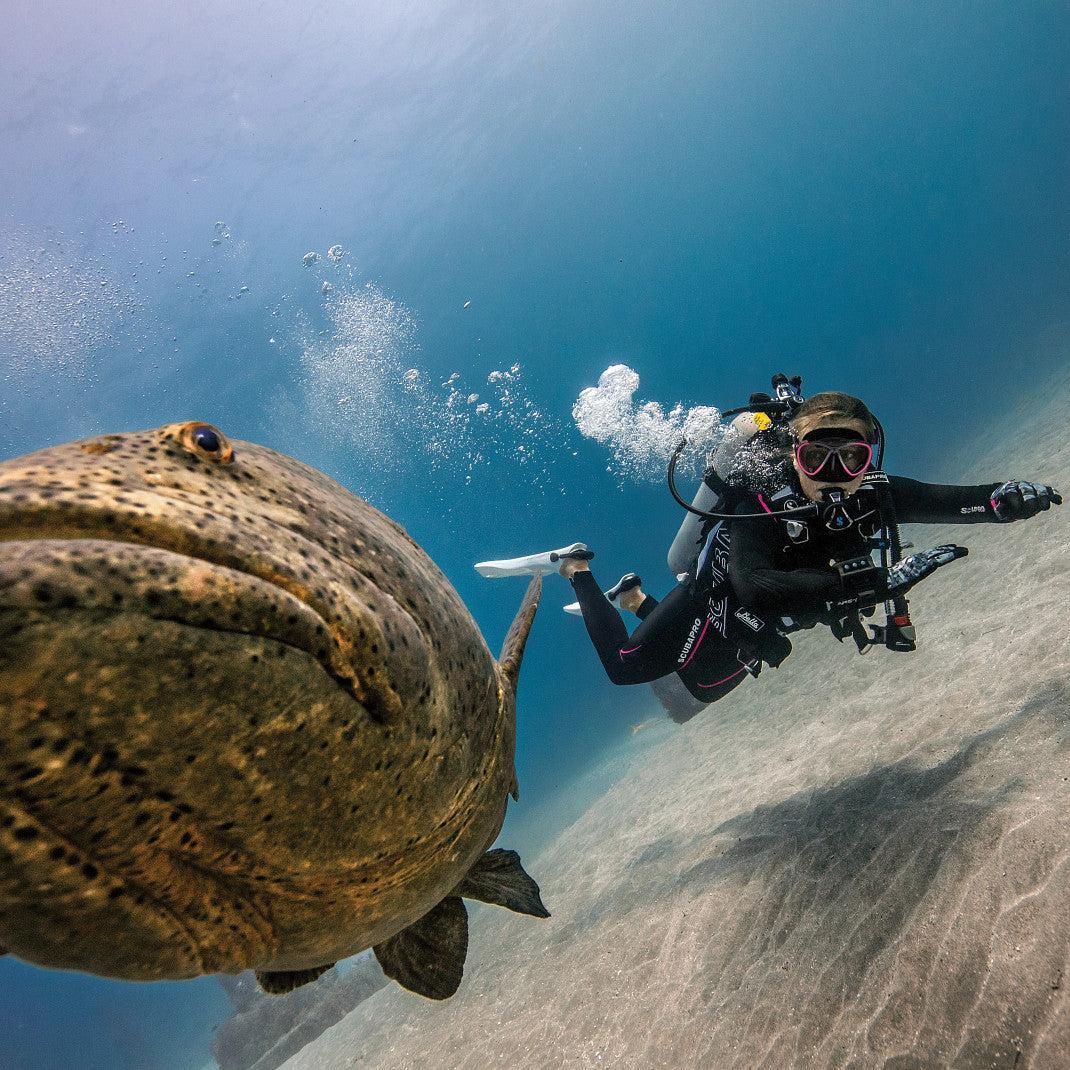 Scubapro Bella Jacket Type BCD - BPI-