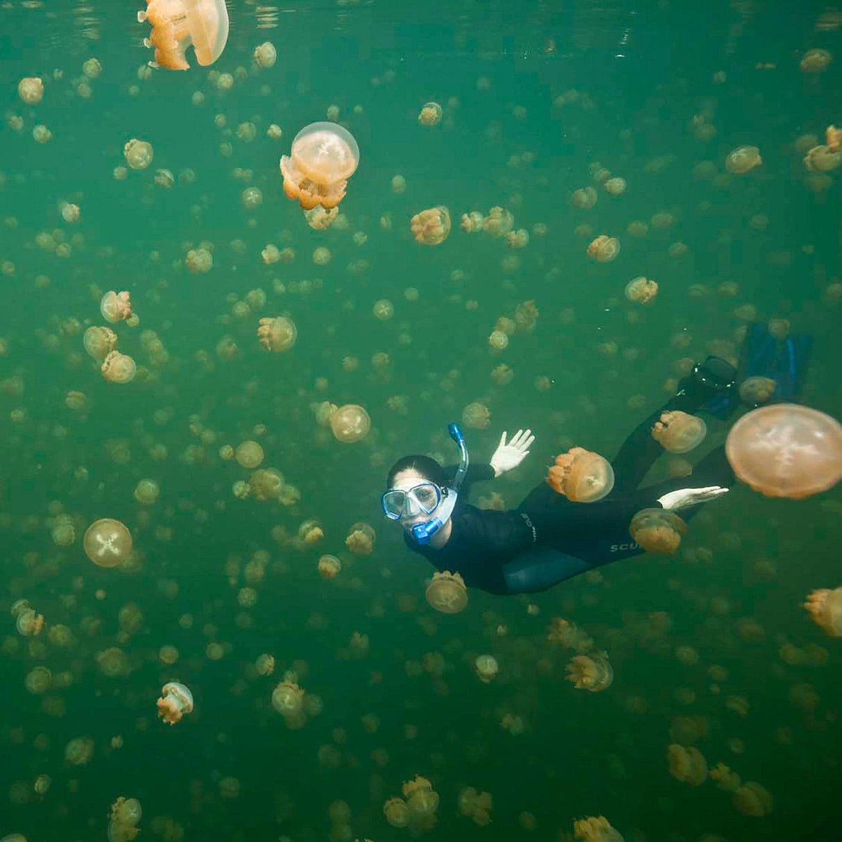 Scubapro Spectra Snorkel-