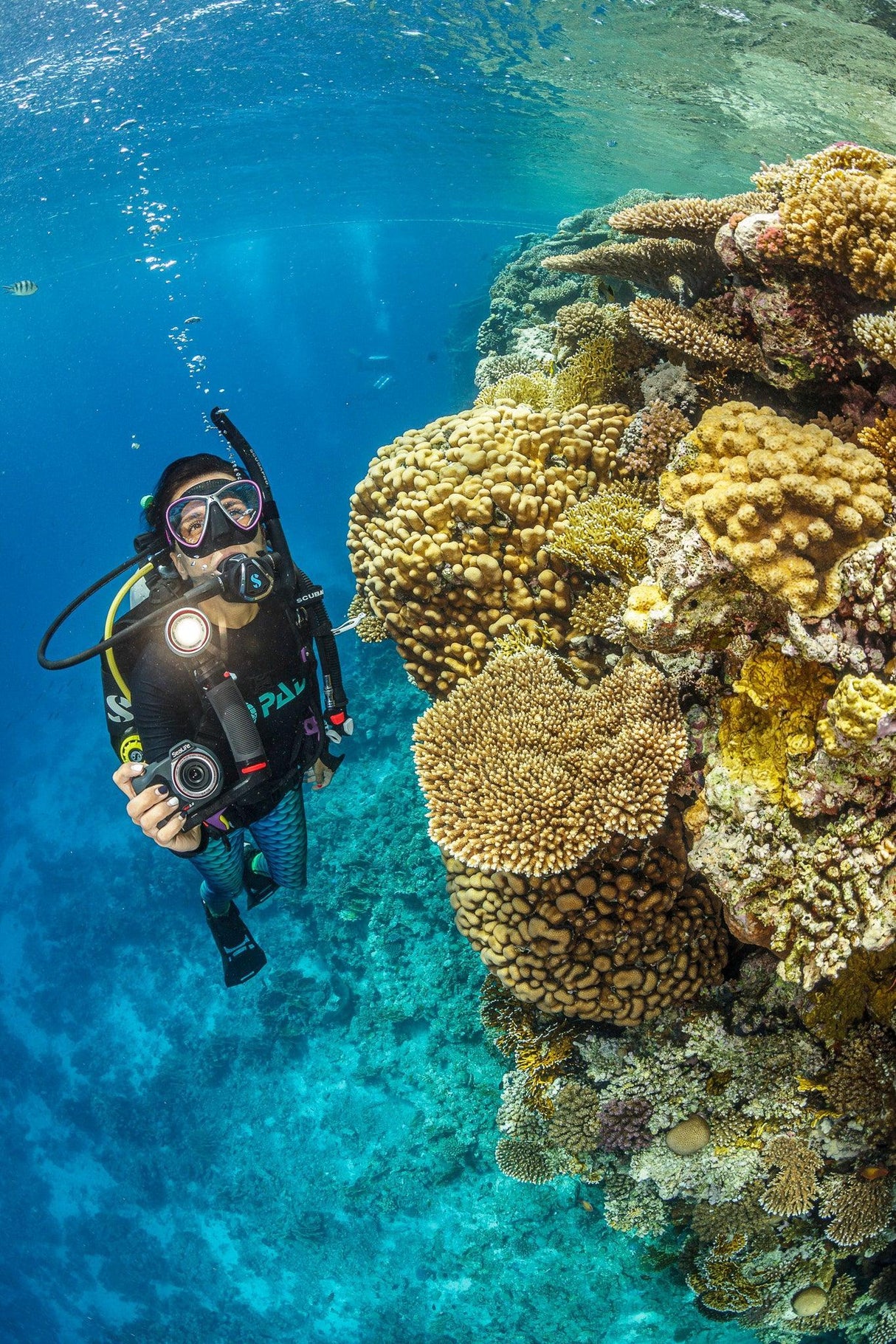 Sealife Micro 3.0 Explorer '24 Holiday Gift Set-