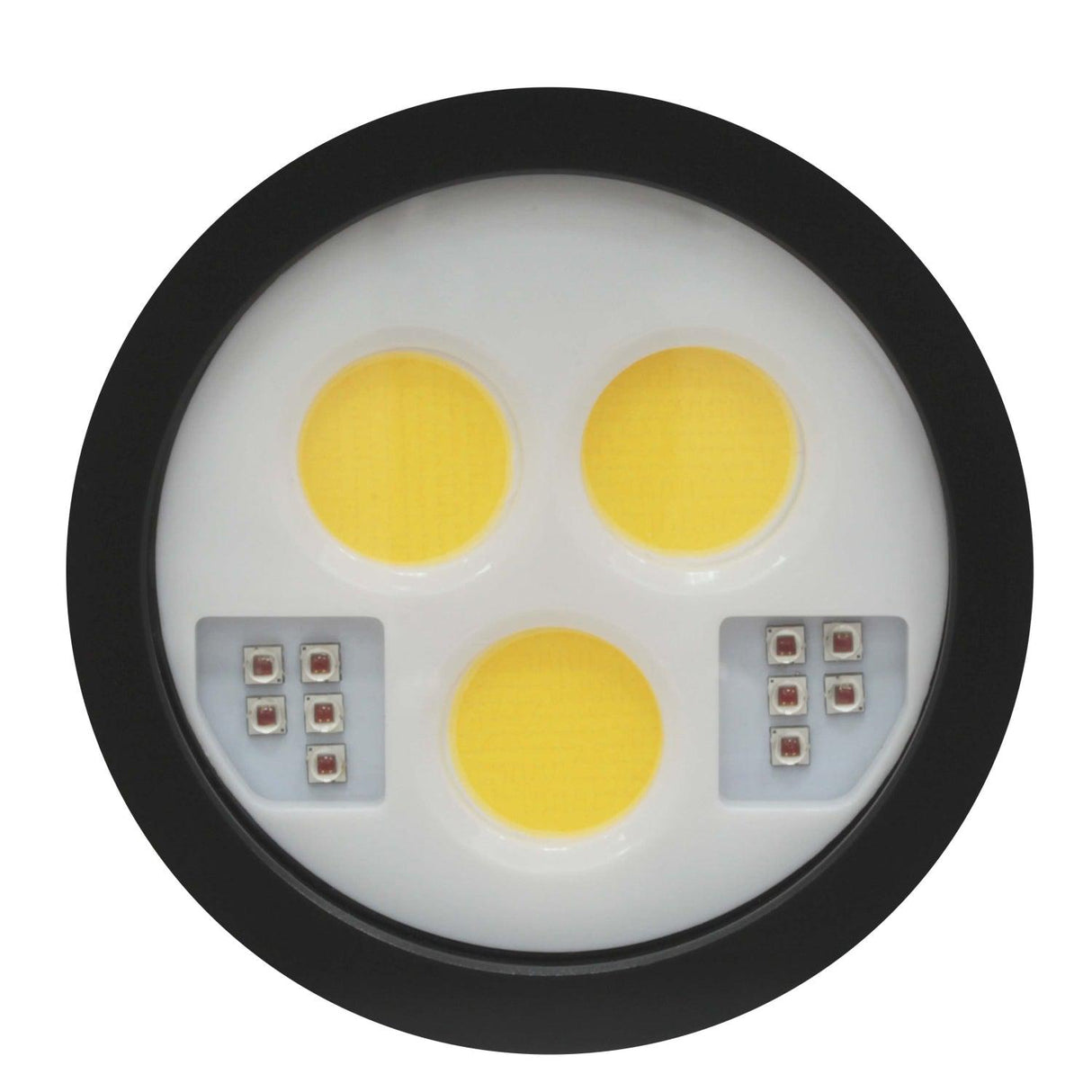 BigBlue 30,000 Lumen Warm White Video Light w/ Red Mode-