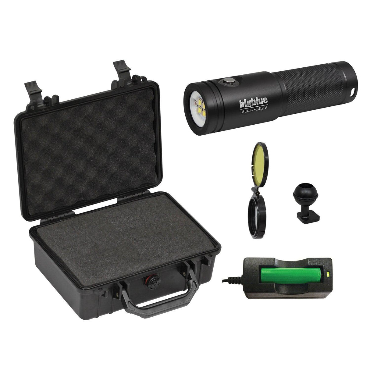 BigBlue AL2600XWP-II Black with Hard Case-