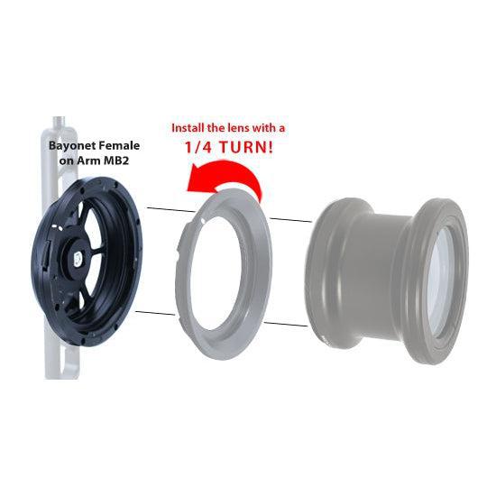 Fantasea Bayonet Female on Arm MB2-