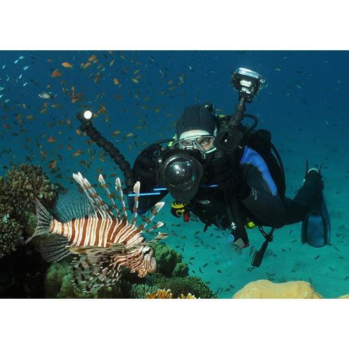 Fantasea BigEye Lens F Series-