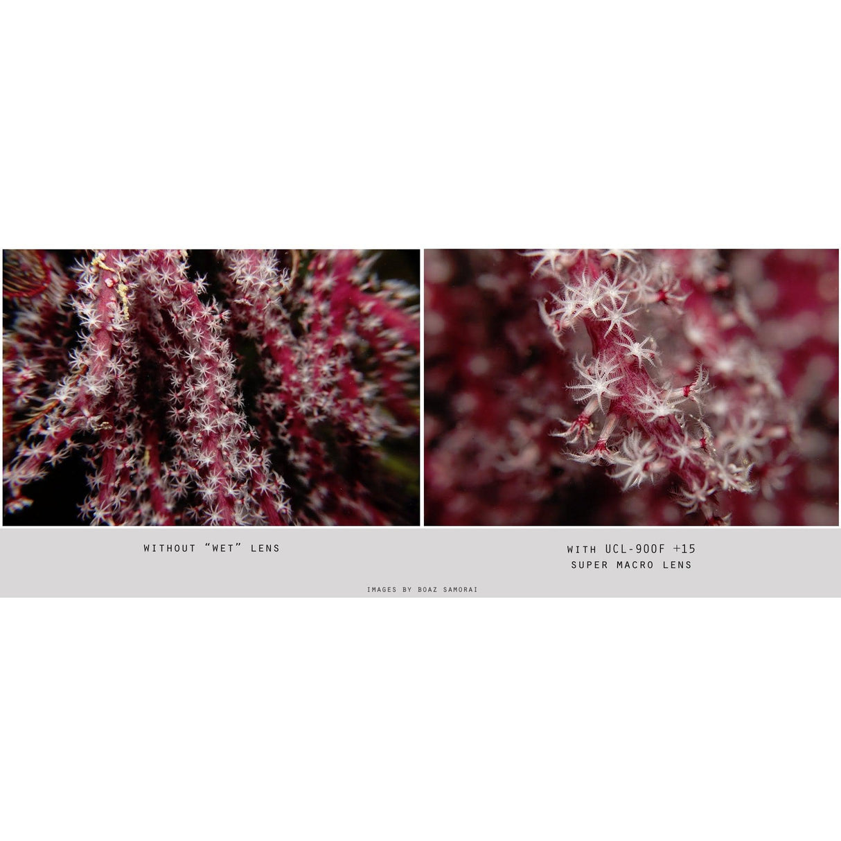 Fantasea UCL-900F +15 Super Macro Lens-