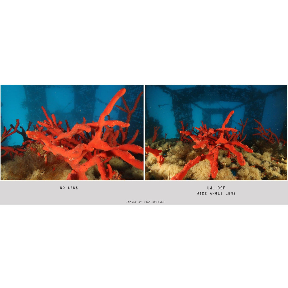 Fantasea UWL-09F Wide Angle Lens-