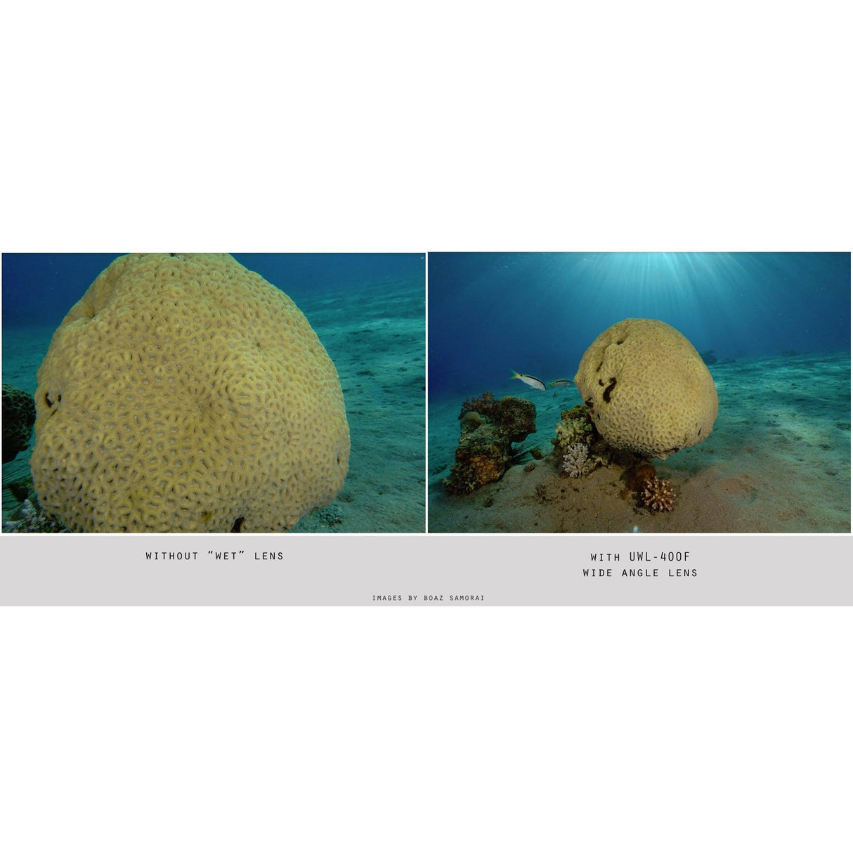 Fantasea UWL-400F Wide Angle Lens-