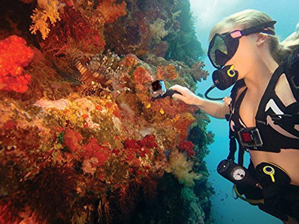 GoPro Gooseneck (GoPro Official Mount)-