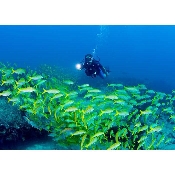 Light & Motion Sola 1200 Combo Kit-