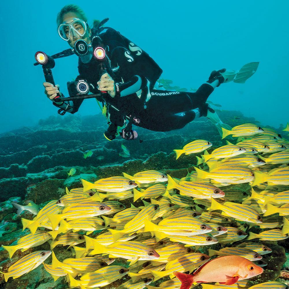 Open Box Sealife Micro 3.0 Pro Duo 5000 Set-