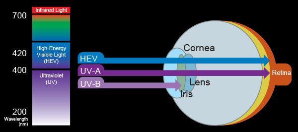 Open Box Tusa Paragon S Mask-