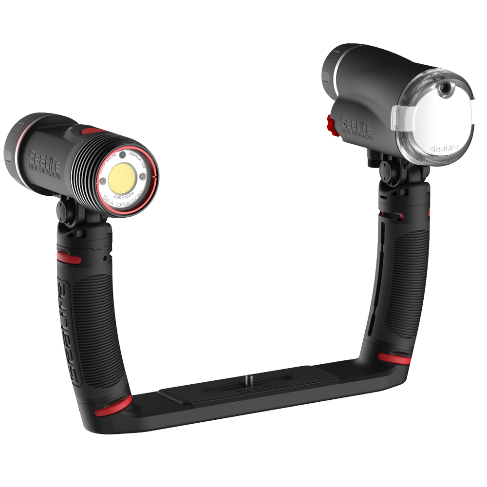 SeaLife Sea Dragon Duo 3000F Flash Set-