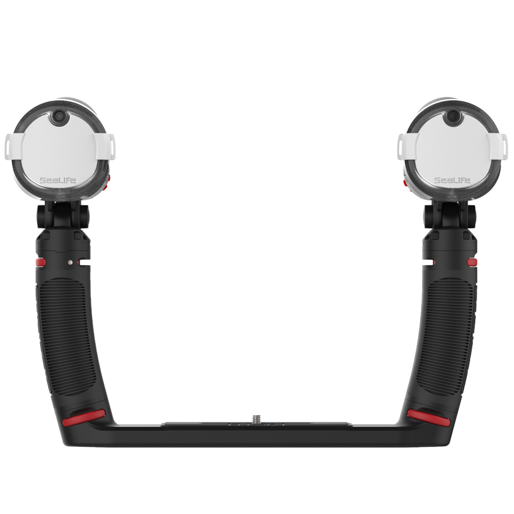 SeaLife Sea Dragon Duo Flash Set-