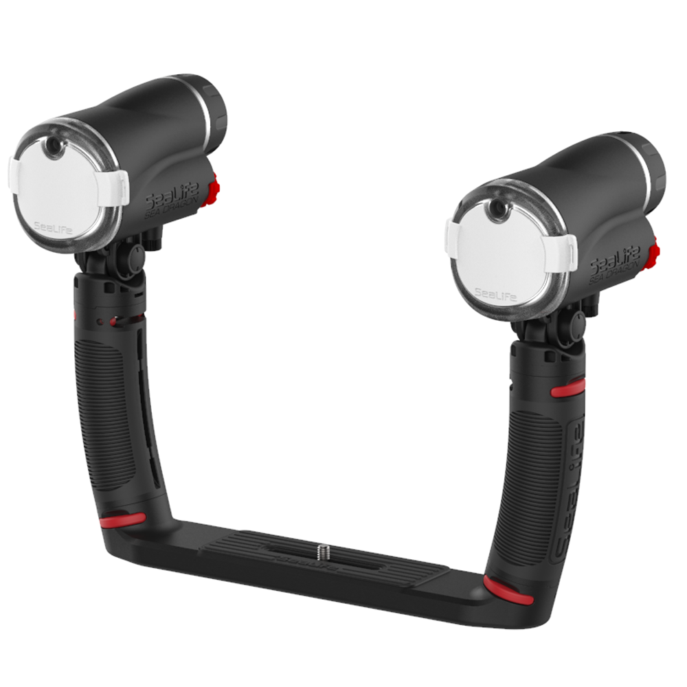 SeaLife Sea Dragon Duo Flash Set-