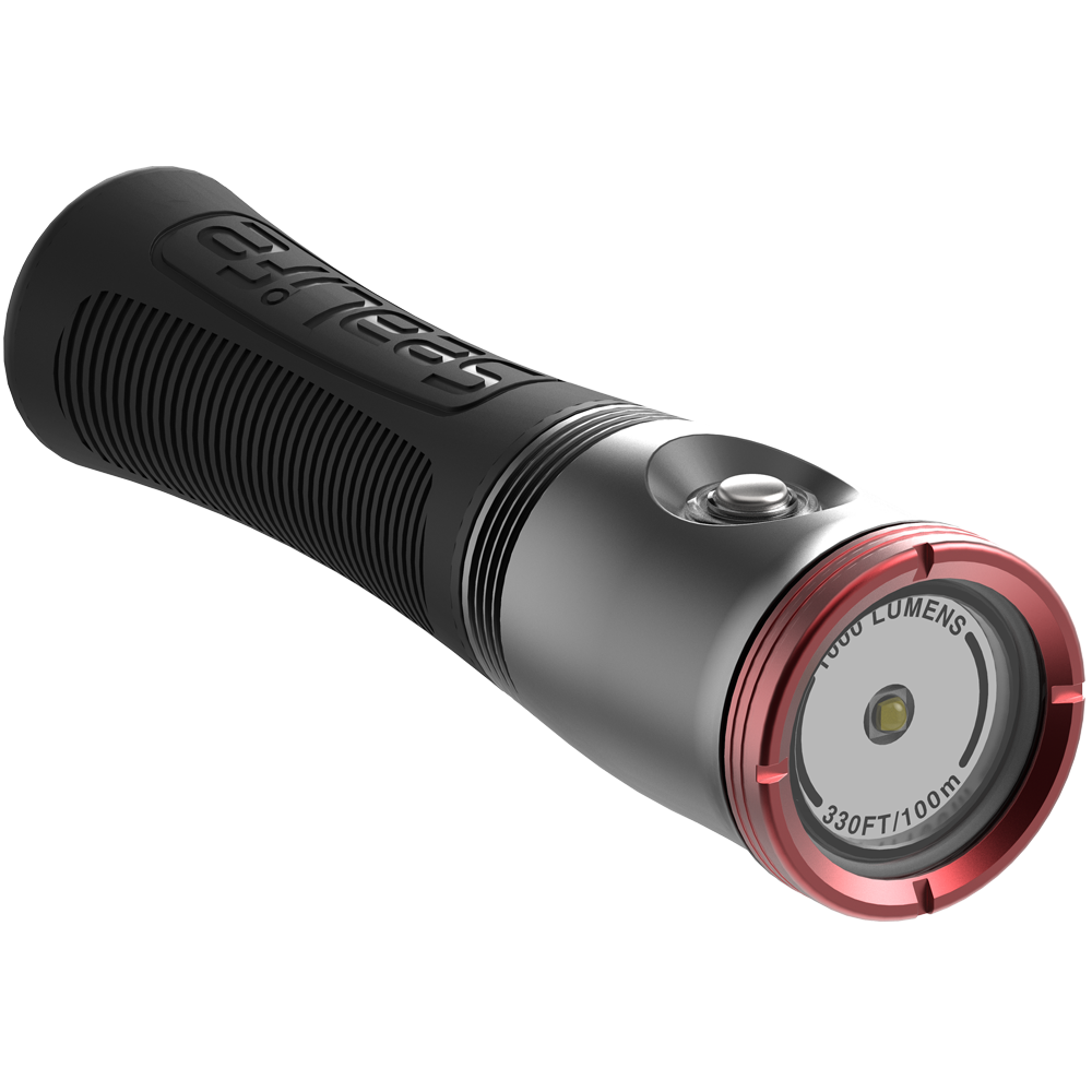 SeaLife Sea Dragon Mini 1000F-