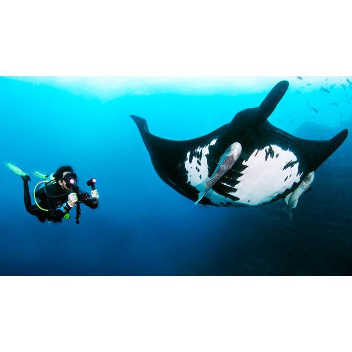 SeaLife Sea Dragon Red-Fire Filter-