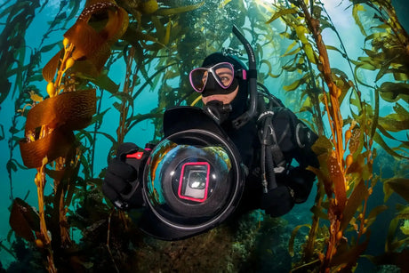 Underwater scene lit by strobes showing a diver over a reef with clean, particle-free water