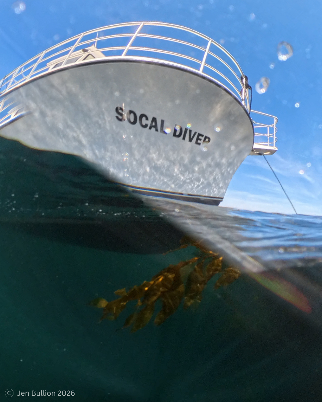 SoCal Diver - Dive Charter in Southern California