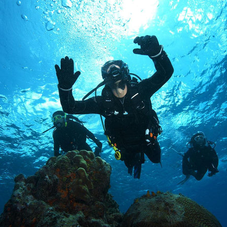 Scuba divers underwater in blue-shifted ambient light