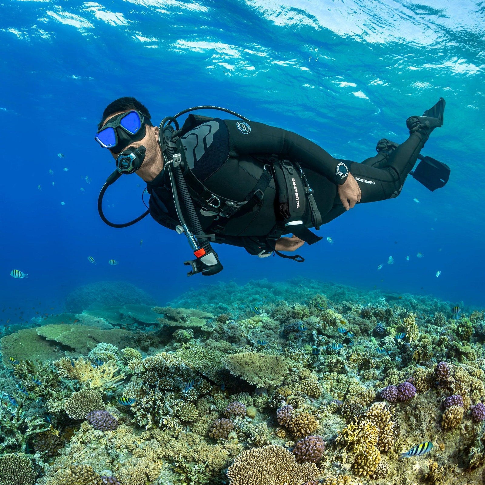 Beginner’s Guide to Scuba Diving Equipment