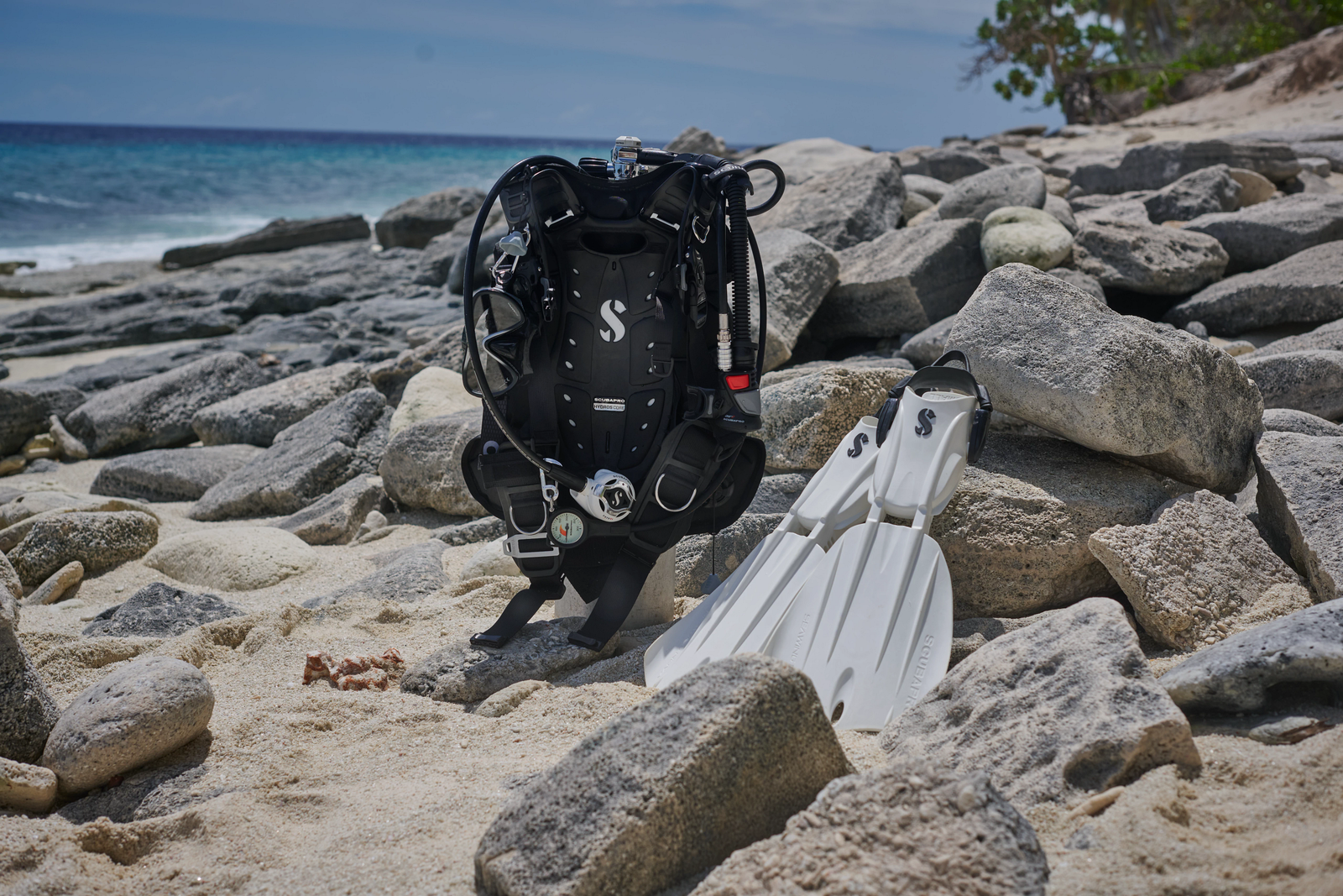 Should You Bring Your Own Dive Gear or Rent It? A Dive Traveler's Guide