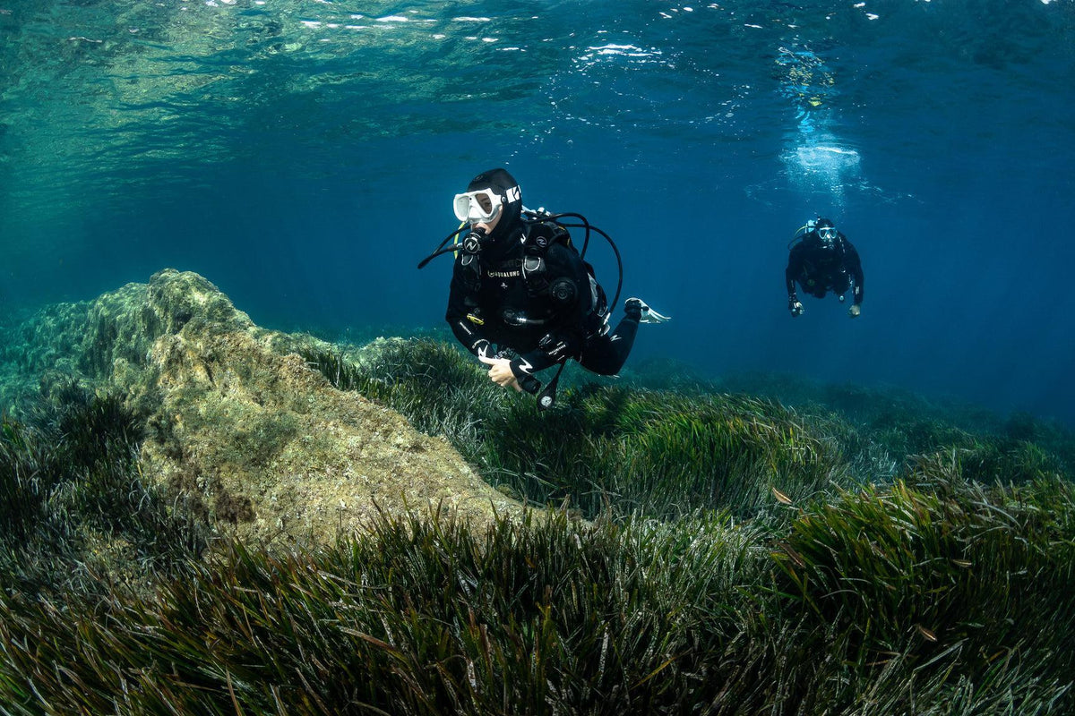 Wetsuit Thickness and Temperature Guide