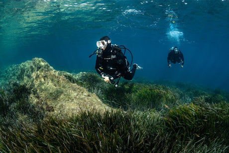 Wetsuit Thickness and Temperature Guide