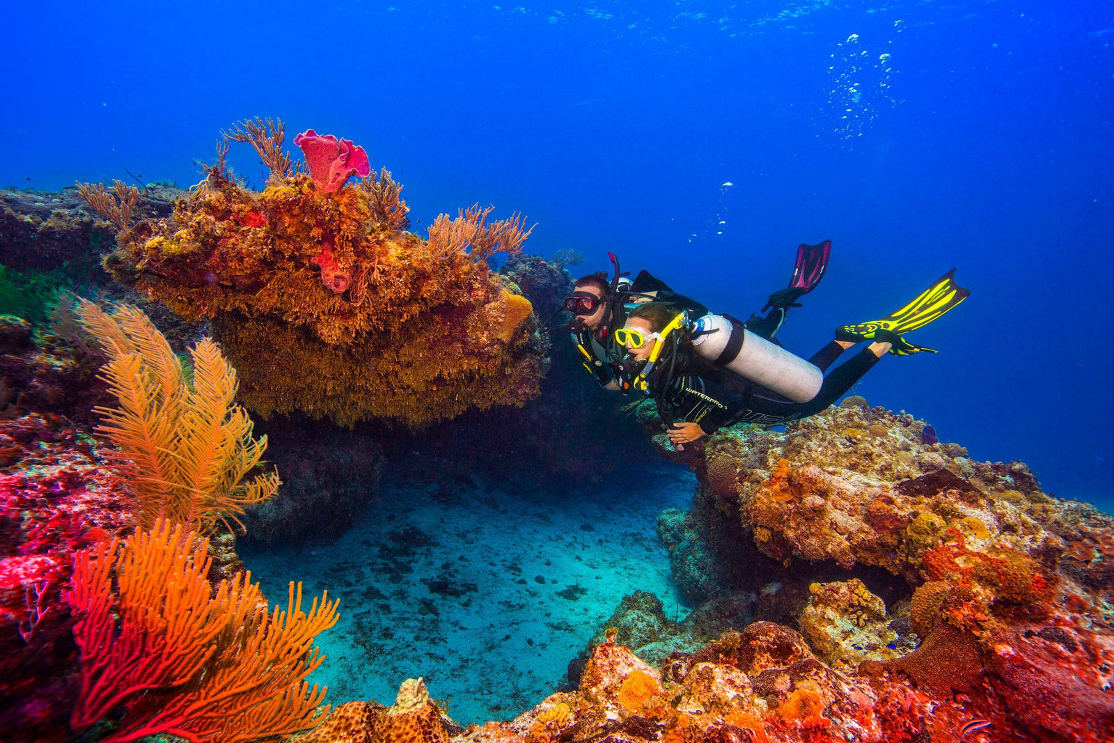 Scuba divers hovering in neutral buoyancy above a coral reef