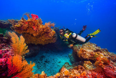 Scuba divers hovering in neutral buoyancy above a coral reef