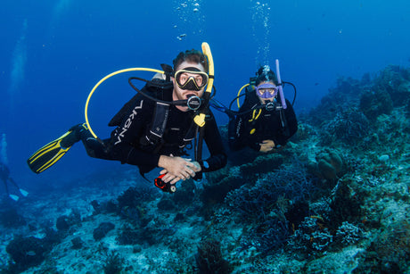What Gear Do You Need for Your First Dive?