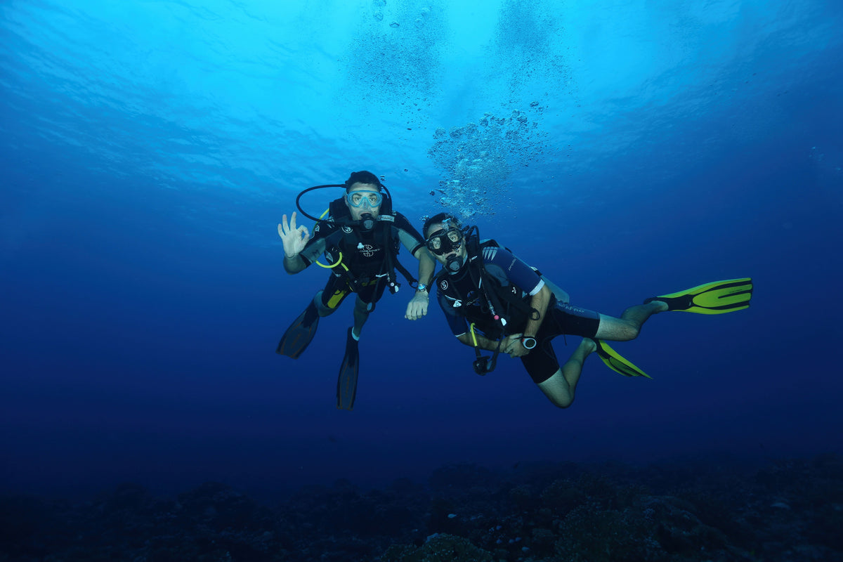 How to Do a Pre-Dive Buddy Check With a New Buddy: BWRAF Step by Step