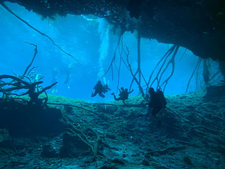 How to Start a Dive Club: A Step-by-Step Guide to Building Your Local Scuba Community