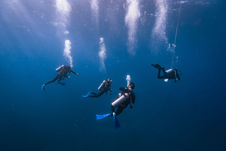 How to Plan a Group Dive Trip: A Step-by-Step Guide for Dive Clubs