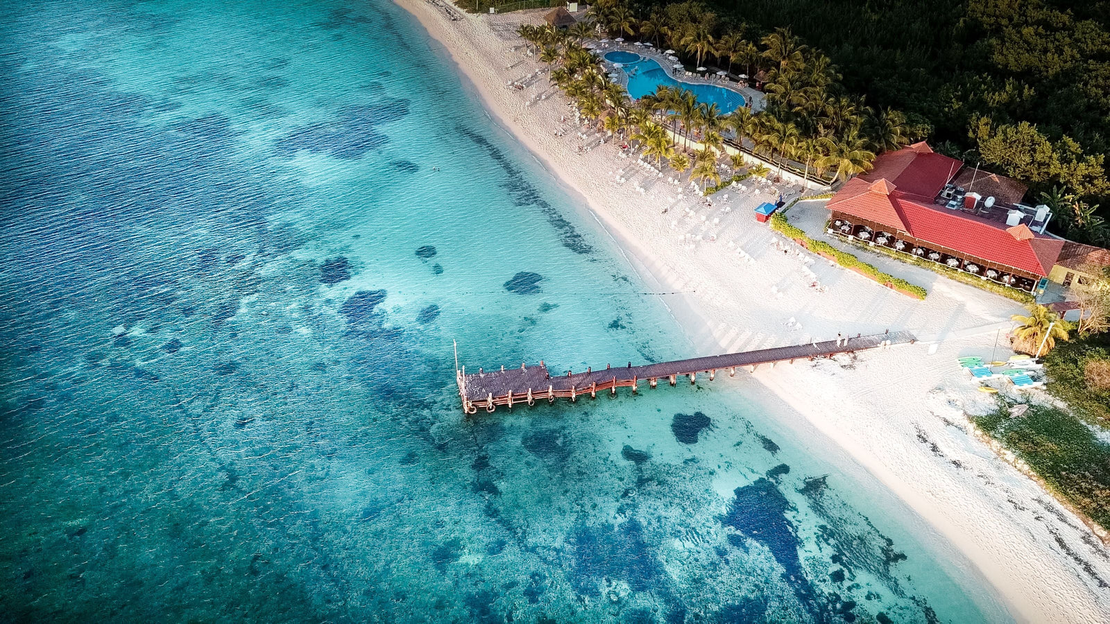Diving Cozumel: A Guide to Dive Sites, Seasons, and Gear