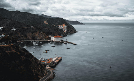 Diving Catalina Island: What to Expect at Casino Point Dive Park