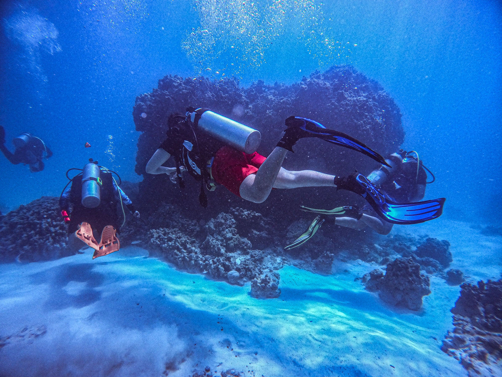 How to Find a Dive Buddy: A Community Guide for Divers