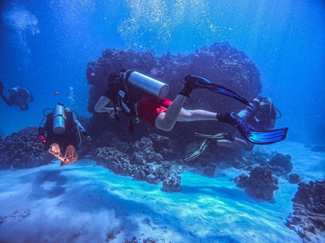 How to Find a Dive Buddy: A Community Guide for Divers